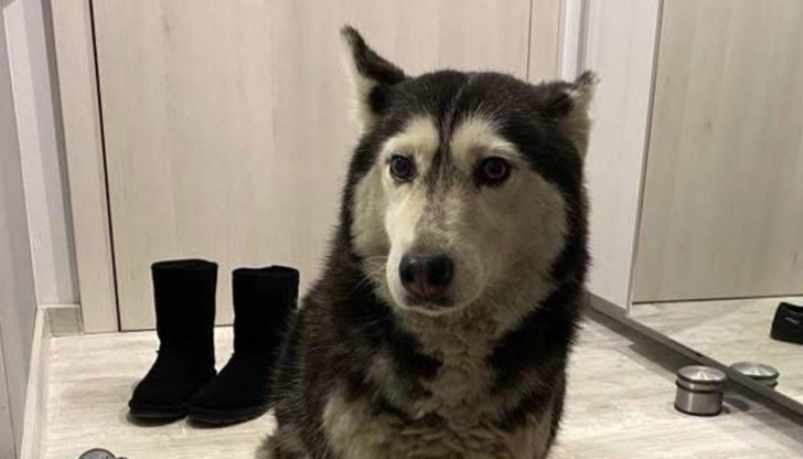 Близо 200 000 души подкрепиха петиция за по-строги мерки след