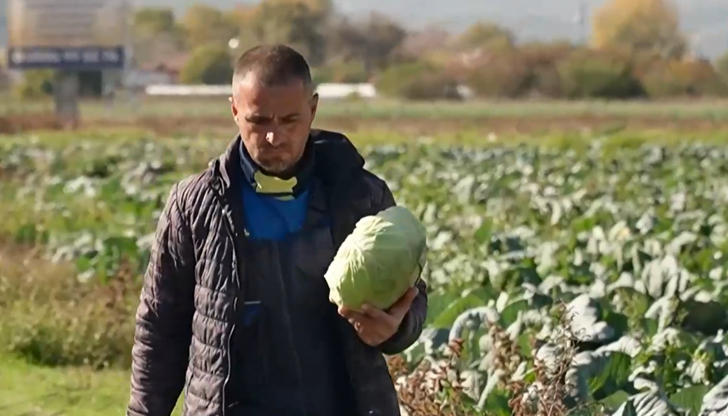 Търговците споделят, че все по-малко хора приготвят зимнина Цените на