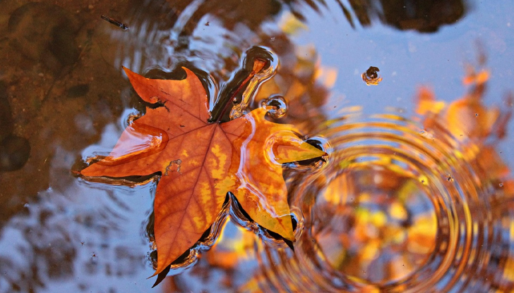 Очакват се до 22 градуса на изток и сняг в