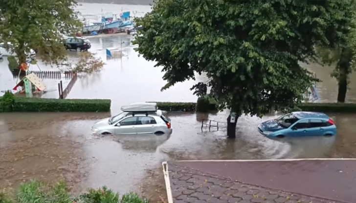 Валежите в Образцов чифлик край Русе достигнаха 549 процента от