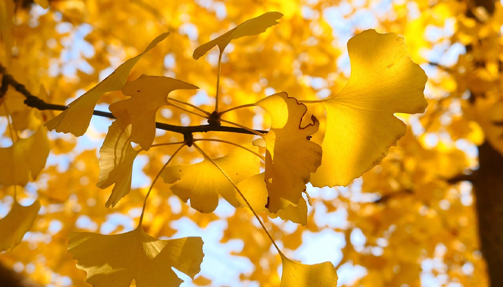 Понеделник идва със слънце и по-високи температуриЗначителна облачност и понижение