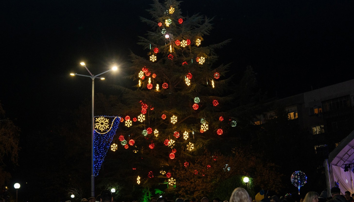 30-метровата секвоя грейна със 160 топки и хиляди светлини, а