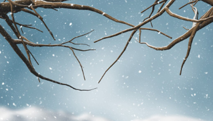 На празника дневните температури ще са между 5 и 10