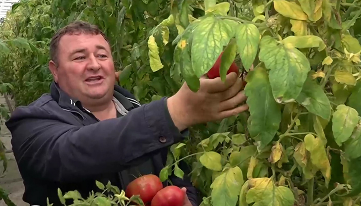 Цените на зеленчуците скачат догодина, очаква се масов внос от