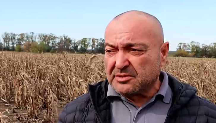 Дори там, където има реколта, тя е под критичния минимумСушата