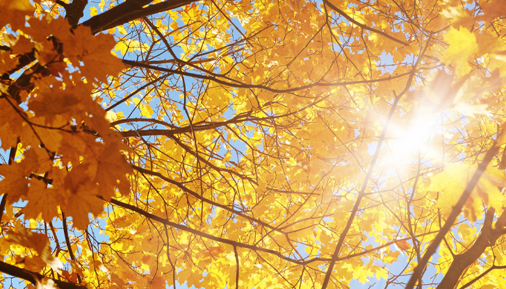 Мъгли ще има сутрин в равнините, дъждът се завръща от