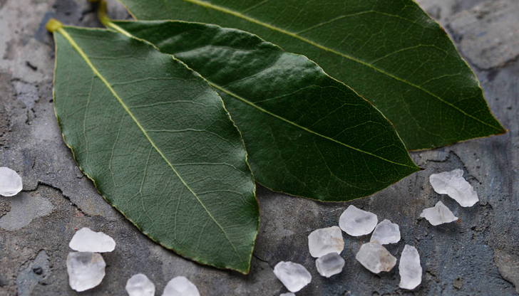 Ароматната подправка е богата на витамини А, C и B6,