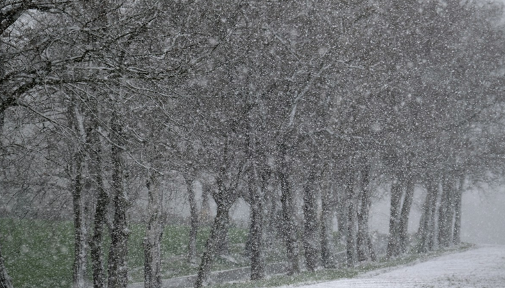 В България застудяването ще е по-слабо и без съществена снежна