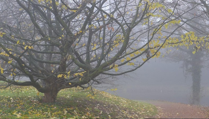 Слънцето ще се покаже в почти цялата страна, но в