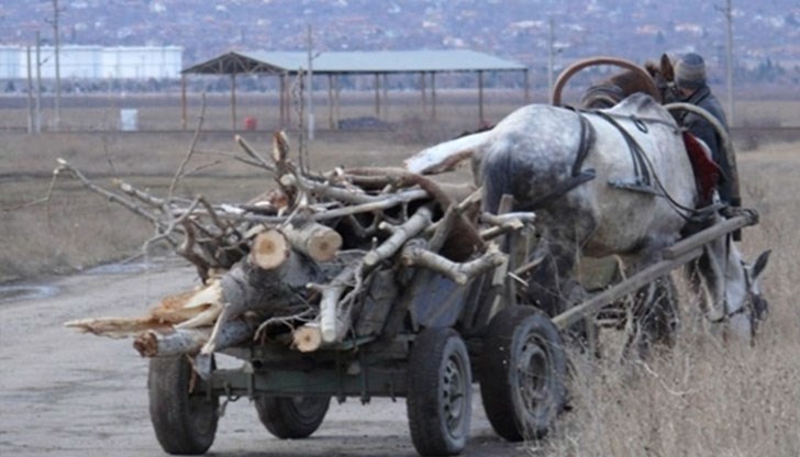 Водачът на каруцата не представил документи за произход и контролна