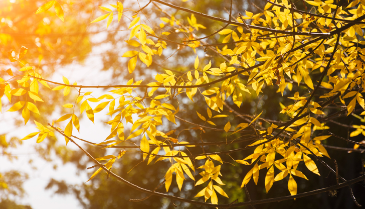 Облачността над Североизточна България ще намалее още преди обядПървият ден