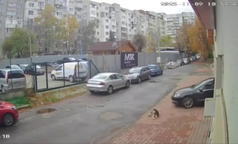 Полицията все още проверява информацията дали 29-годишният мъж е лекар