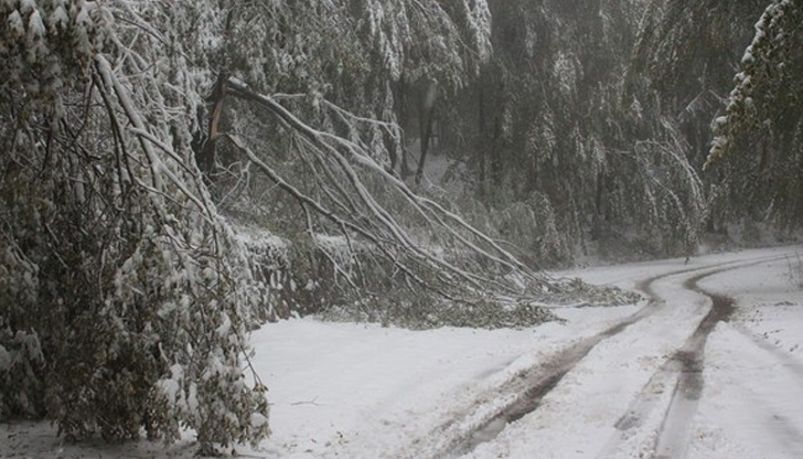 Към момента температурата в курорта е минус 2 градусаОблачно и