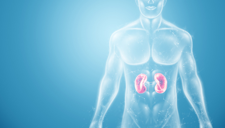 Задържането на урина и пиенето на кафе преди вода са