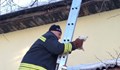 Пожарникари спасиха коте от дърво във Враца