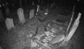 Мъж унищожи над 200 надгробни плочи в София