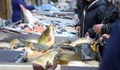 Търговци на риба в Русе се оплакват от конкуренцията на големите вериги