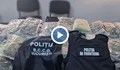 Гранична полиция откри 37 килограма канабис в камион в Гюргево