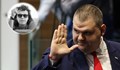 Полина Паунова: Пеевски казва "гнусете се от тях, защото бяха близо до мен"