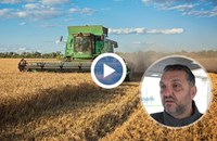 Кризата със зърното срива пазара на рентите в Русенско