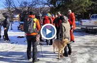 Откритият в района на Витоша Стефан не е бил адекватен