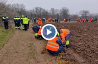 Служители на "Пътинженеринг" засадиха 5000 фиданки в своята гора