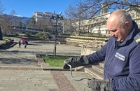 Пожарникари уловиха усойница в центъра на Смолян