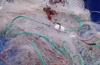 ИАРА извади незаконни мрежи от река Дунав край АЕЦ "Белене"