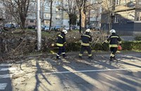 Силният вятър повали дървета и блокира пътища в Пловдивско