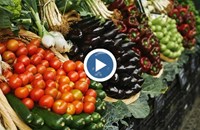 Пуснаха зеленчуци за по 5 пенса на килограм във Великобритания