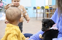 Кученца от приюта в Русе гостуват в библиотека "Любен Каравелов"