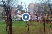 Бурният вятър повали дървета в Русе, Пловдив и Бургас