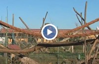 Бейби бум в бургаския зоопарк