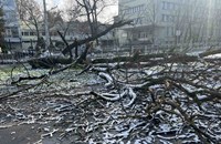 Огромно дърво рухна до Гимназията по строителство