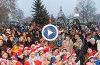 Сливо поле запали светлините на коледната елха