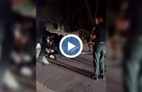 4-метров алигатор блокира улица във Флорида