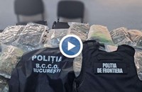 Гранична полиция откри 37 килограма канабис в камион в Гюргево