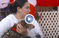 Куче след 5 години и 3600 пропътувани километра пак у дома