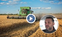 Кризата със зърното срива пазара на рентите в Русенско