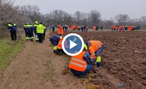 Служители на "Пътинженеринг" засадиха 5000 фиданки в своята гора