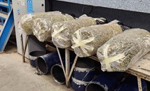 Митничари откриха 70 килограма марихуана в газови бутилки