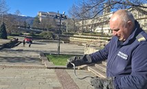 Пожарникари уловиха усойница в центъра на Смолян