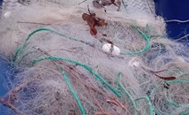 ИАРА извади незаконни мрежи от река Дунав край АЕЦ "Белене"