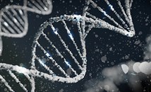 Британски учени създават синтетична човешка ДНК