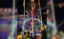 Коледната елха грейна в русенския квартал "Долапите"