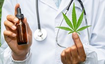 Мащабно проучване разби митовете за ползите от медицинския канабис