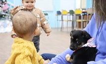 Кученца от приюта в Русе гостуват в библиотека "Любен Каравелов"