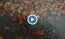 НИМХ обяви жълт код за значителни валежи в 4 области