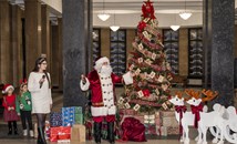 „Коледна магия“ озари Съдебната палата в Русе