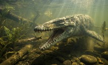 Зъб от мозазавър разкри неподозирани умения на древните морски влечуги